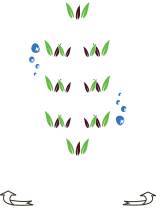 Sky-High Aquaponics